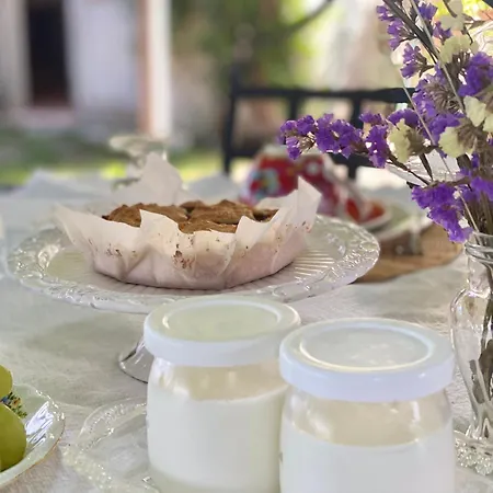 Ca'bevilacqua Bed & Breakfast Bertinoro