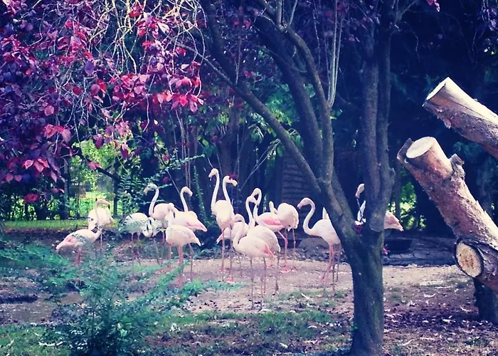 Ca'bevilacqua Bed & Breakfast 3*