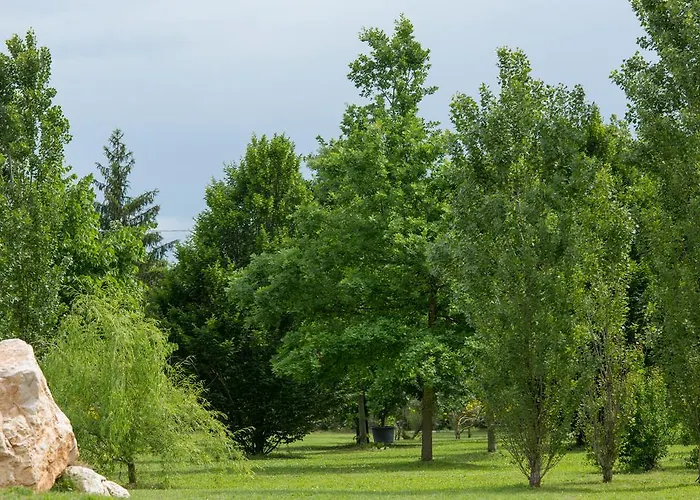 Bed & Breakfast Ca'bevilacqua Bertinoro