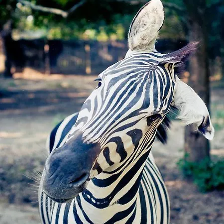 Ca'bevilacqua Bed & Breakfast