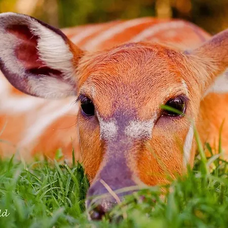 Ca'bevilacqua Bertinoro