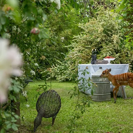Alojamento de Acomodação e Pequeno-almoço Ca'bevilacqua 3*