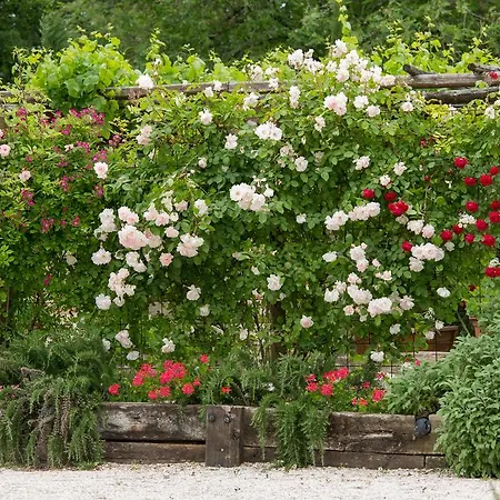 Ca'bevilacqua Bertinoro