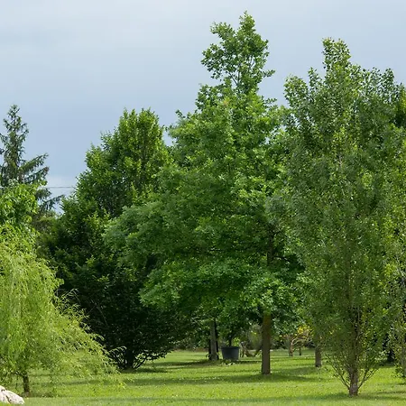 Alojamento de Acomodação e Pequeno-almoço Ca'bevilacqua Bertinoro