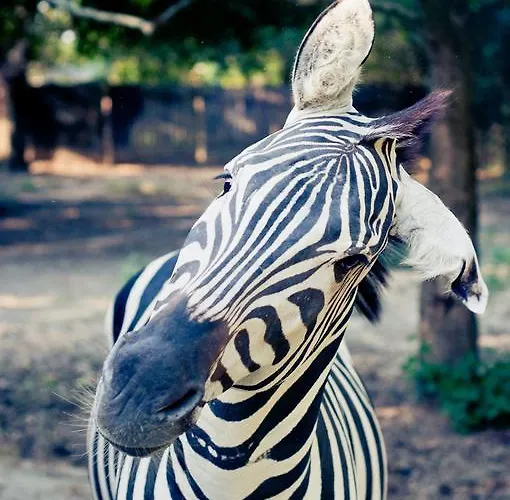 Ca'bevilacqua Bed and breakfast