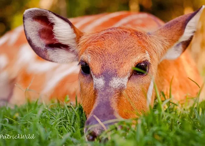 Ca'bevilacqua 베르티노로