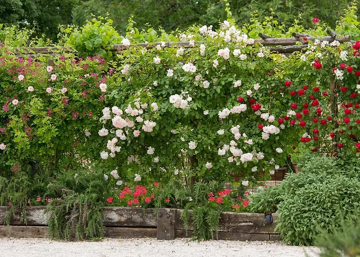 Ca'bevilacqua Bertinoro