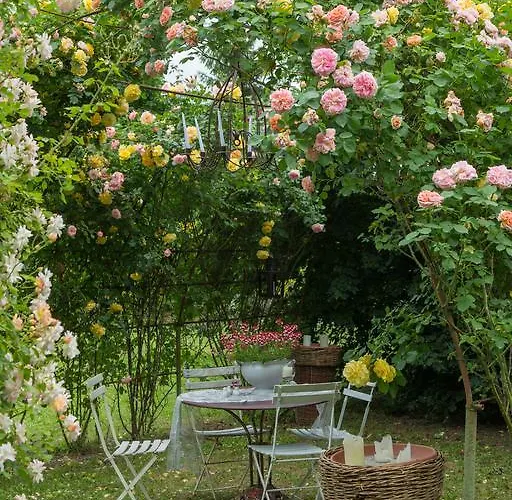 Ca'bevilacqua Bertinoro